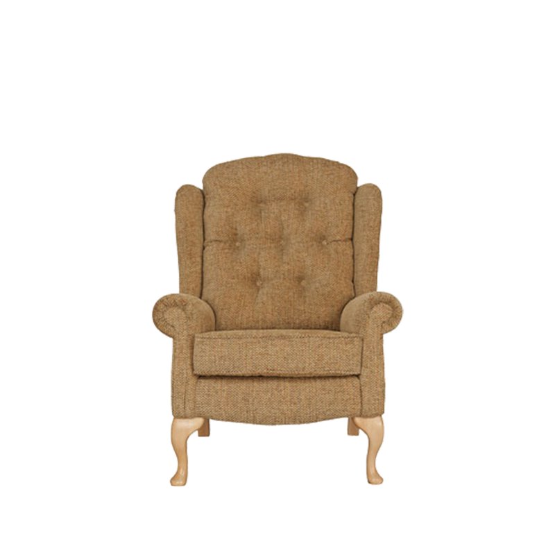 Celebrity Celebrity Woburn Legged Standard Chair in Performance Plus