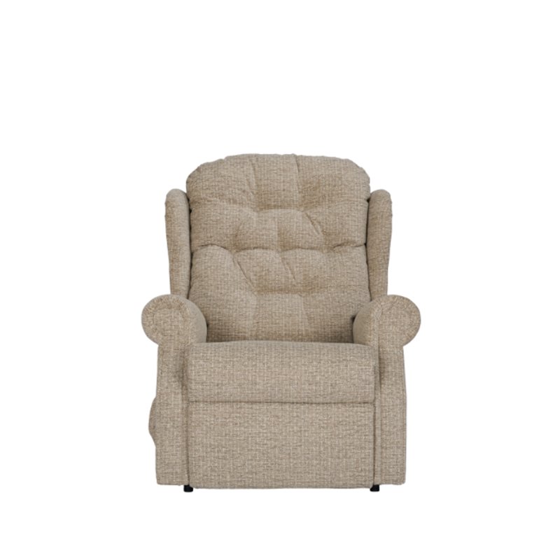 Celebrity Celebrity Woburn Standard Chair in Performance Plus