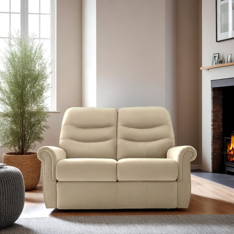 G Plan G Plan Holmes 2 Seater Sofa in Leather